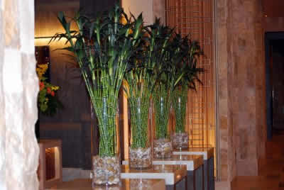 Hodnik mora biti dobro osvijetljen i čist