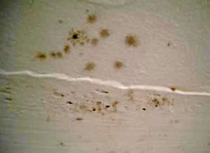 Kuhinja je prostorija koja je konstantno izložena prljavštini, masnim mrljama i špricanju hrane, ulja... Kuhinja je prostorija koja je konstantno izložena prljavštini, masnim mrljama i špricanju hrane, ulja...