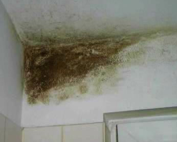 Tek kod adaptiranja kupaonice, kada se skinu pločice možete vidjeti gdje prodire vlaga i time locirati problem