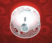 Igra svjetlosti vrlo je važna u viđenju boja